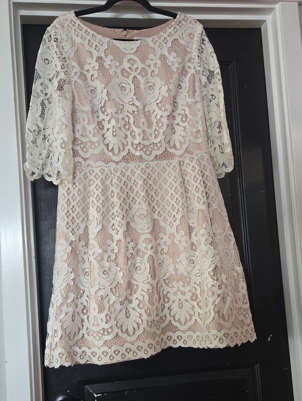 Eliza J Dress Ivory Lace Overlay Fit And Flare Dress Size 14